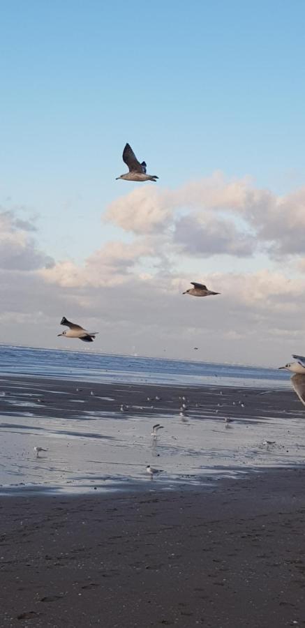 Bord De Plage, Thalasso Et Vue ! * Cabourg